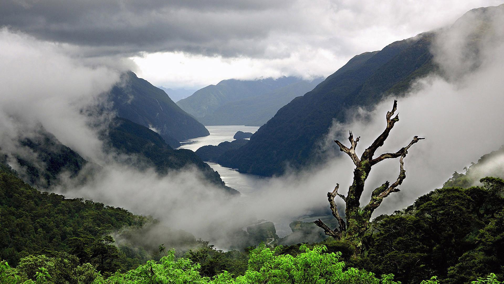 Doubtful Sound in Fiordland National Park Full HD Wallpaper