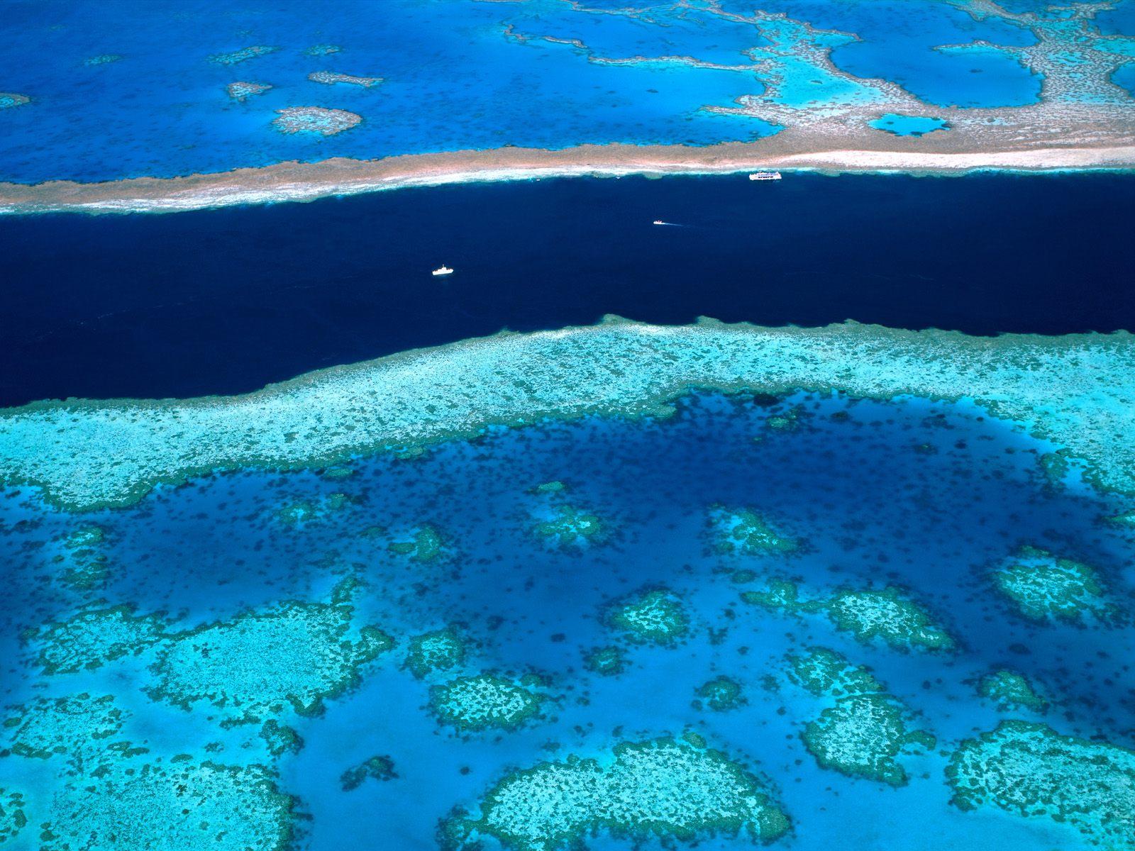 Dredging the Great Barrier Reef. Abyss