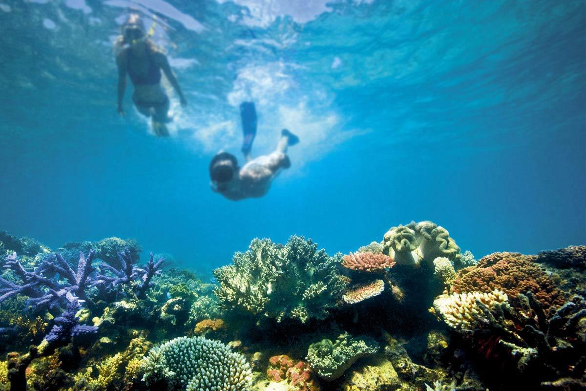 Great Barrier Reef. Australia's Great Natural Wonder
