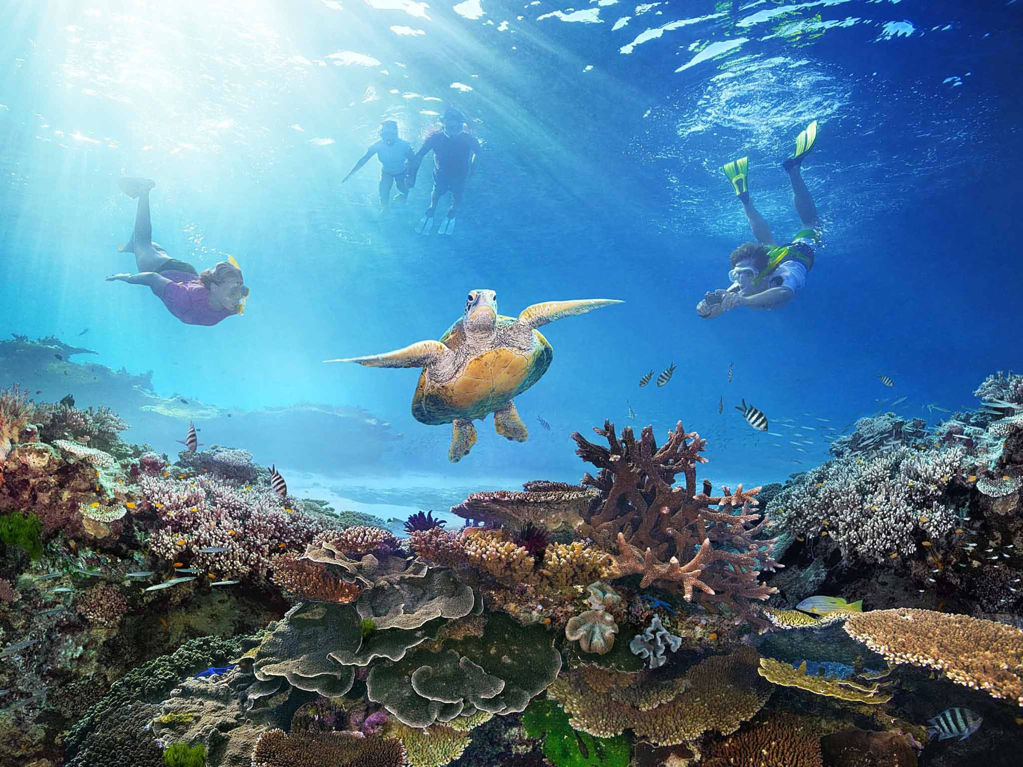 The Great Barrier Reef: David Attenborough returns to