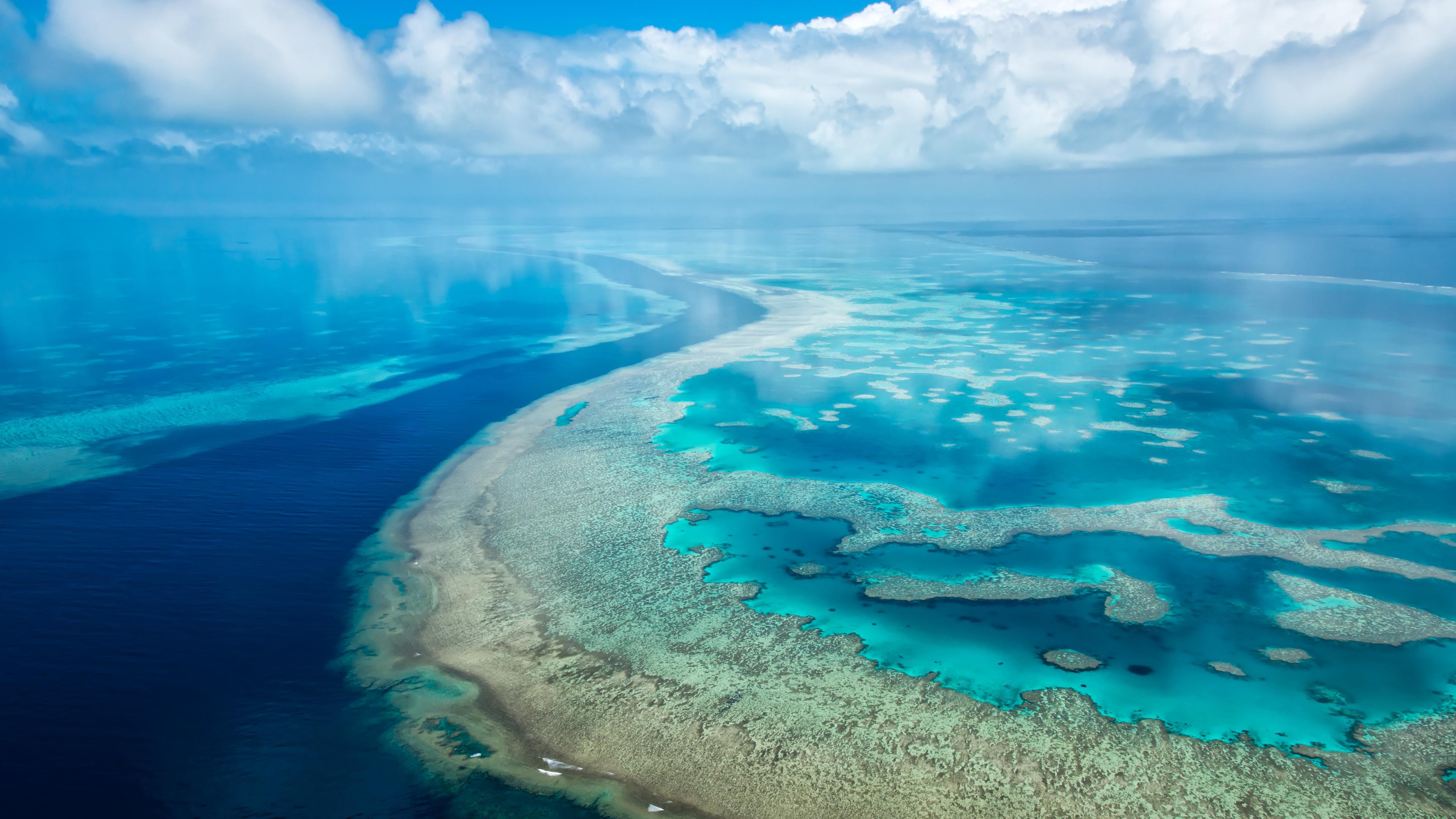 Wallpaper Great Barrier Reef, Coral reef, Queensland, Australia