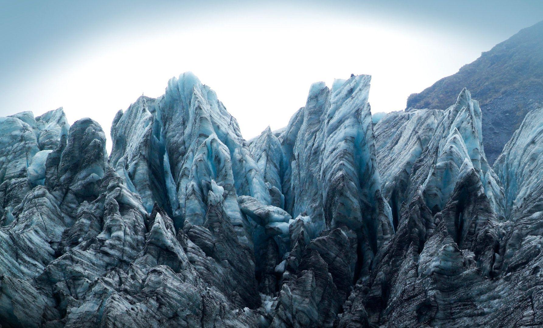 New Zealand South Island Fiordland National Park Fox Glacier