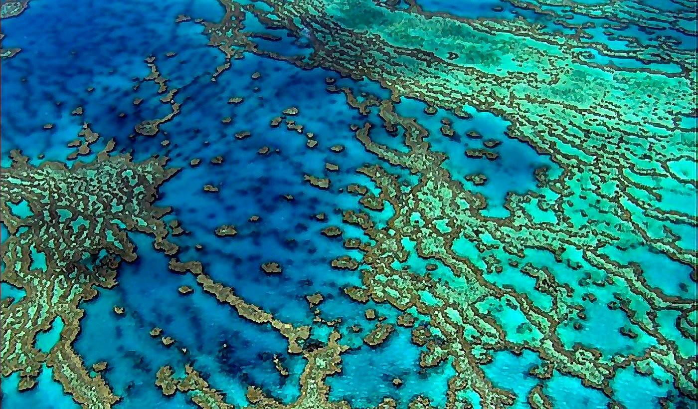 Ocean: Great Barrier Reef Teal Australia Blue Ocean Turquoise Coral