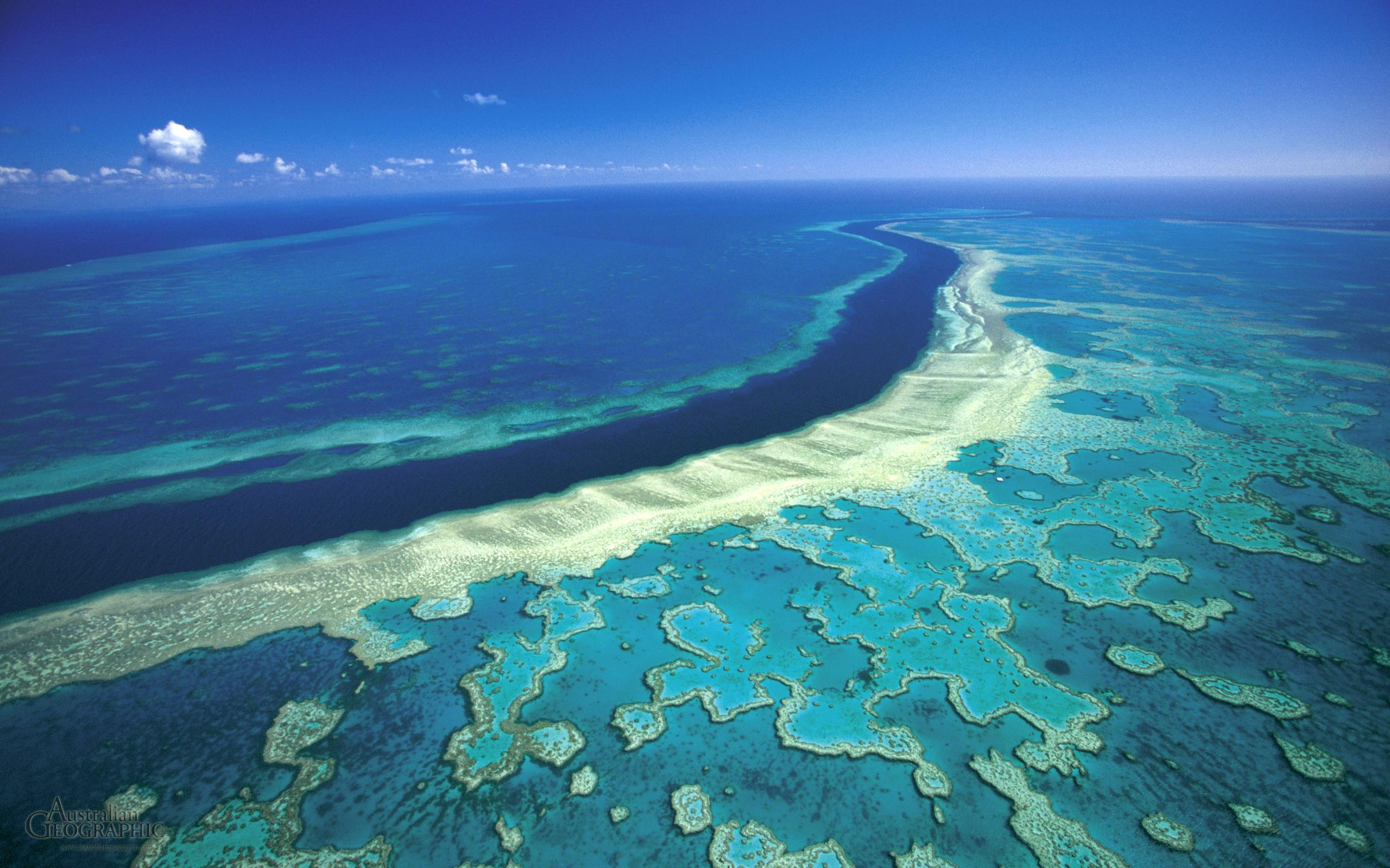 On this day: Great Barrier Reef protected