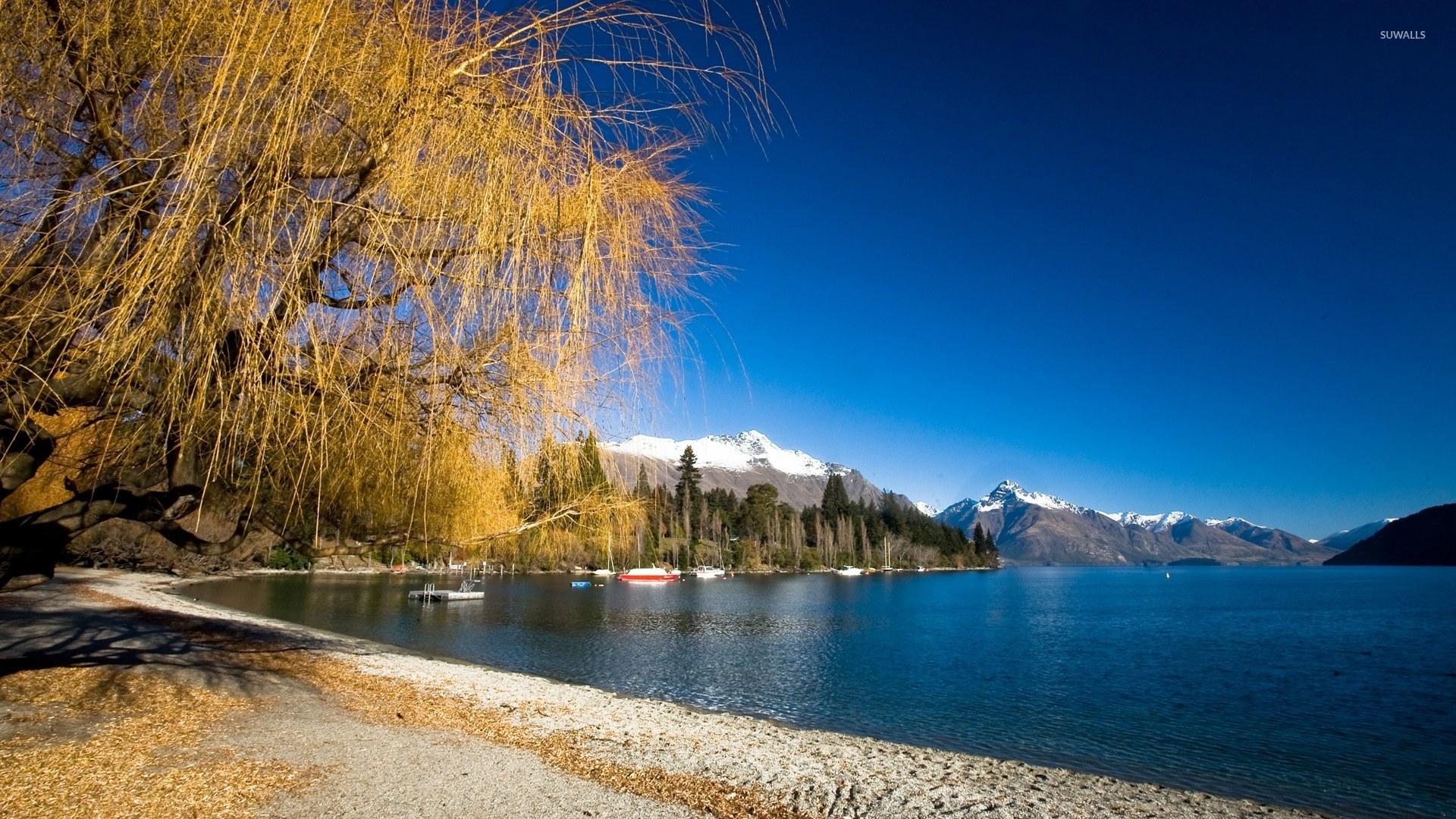 Fiordland National Park wallpaper wallpaper