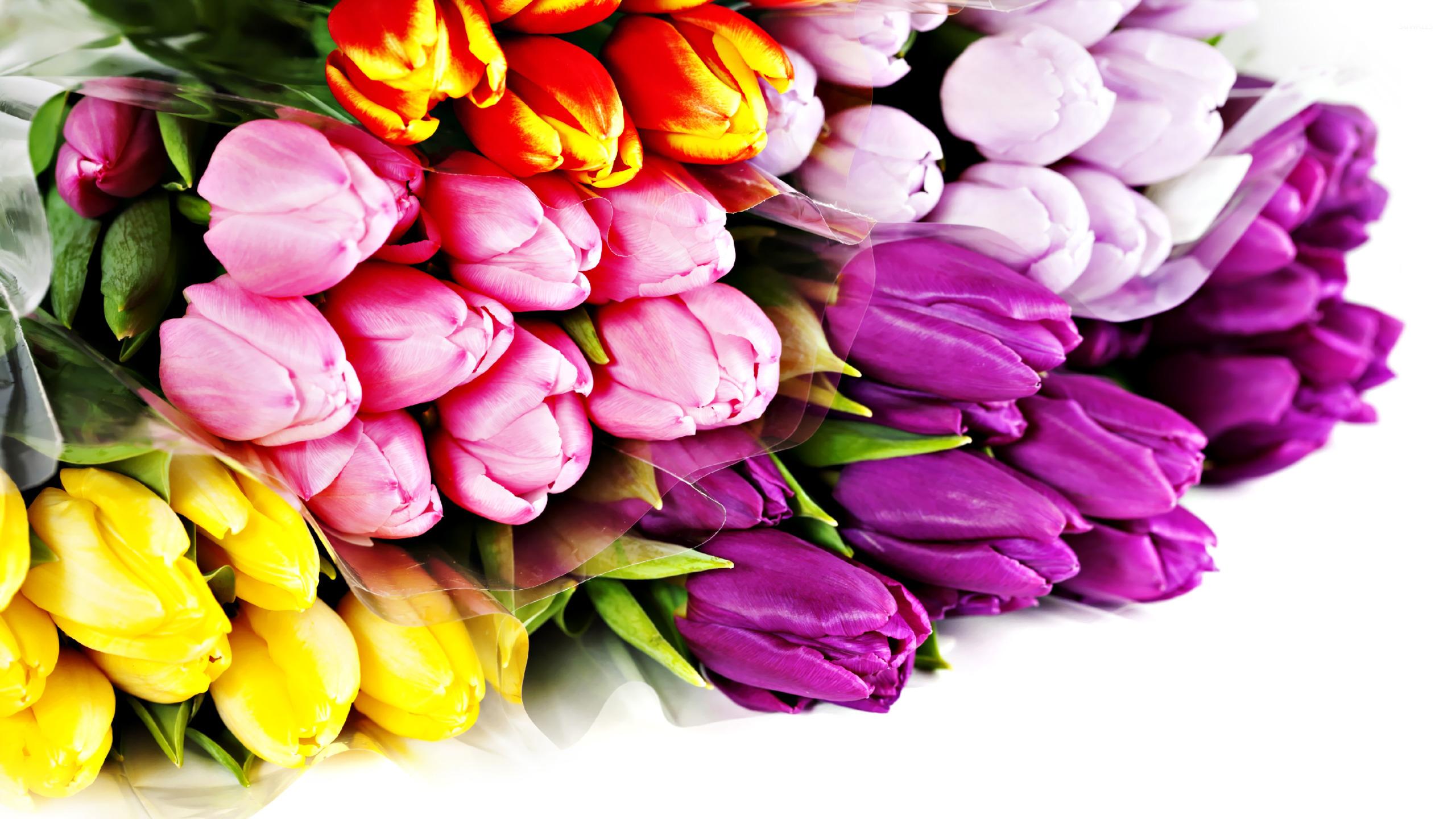 Colorful tulip bouquet wallpaper wallpaper