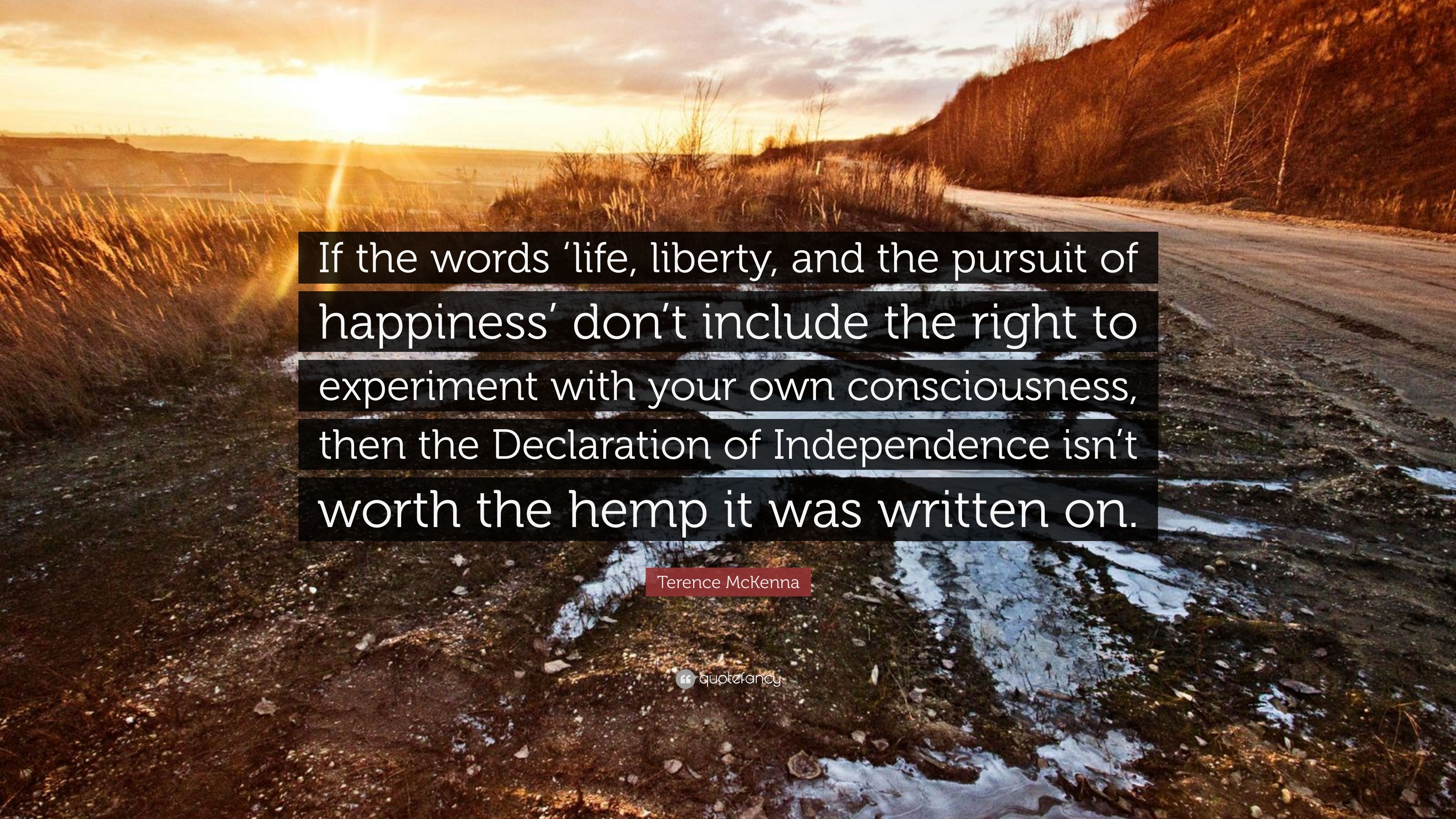 Terence McKenna Quote: “If the words 'life, liberty, and the pursuit