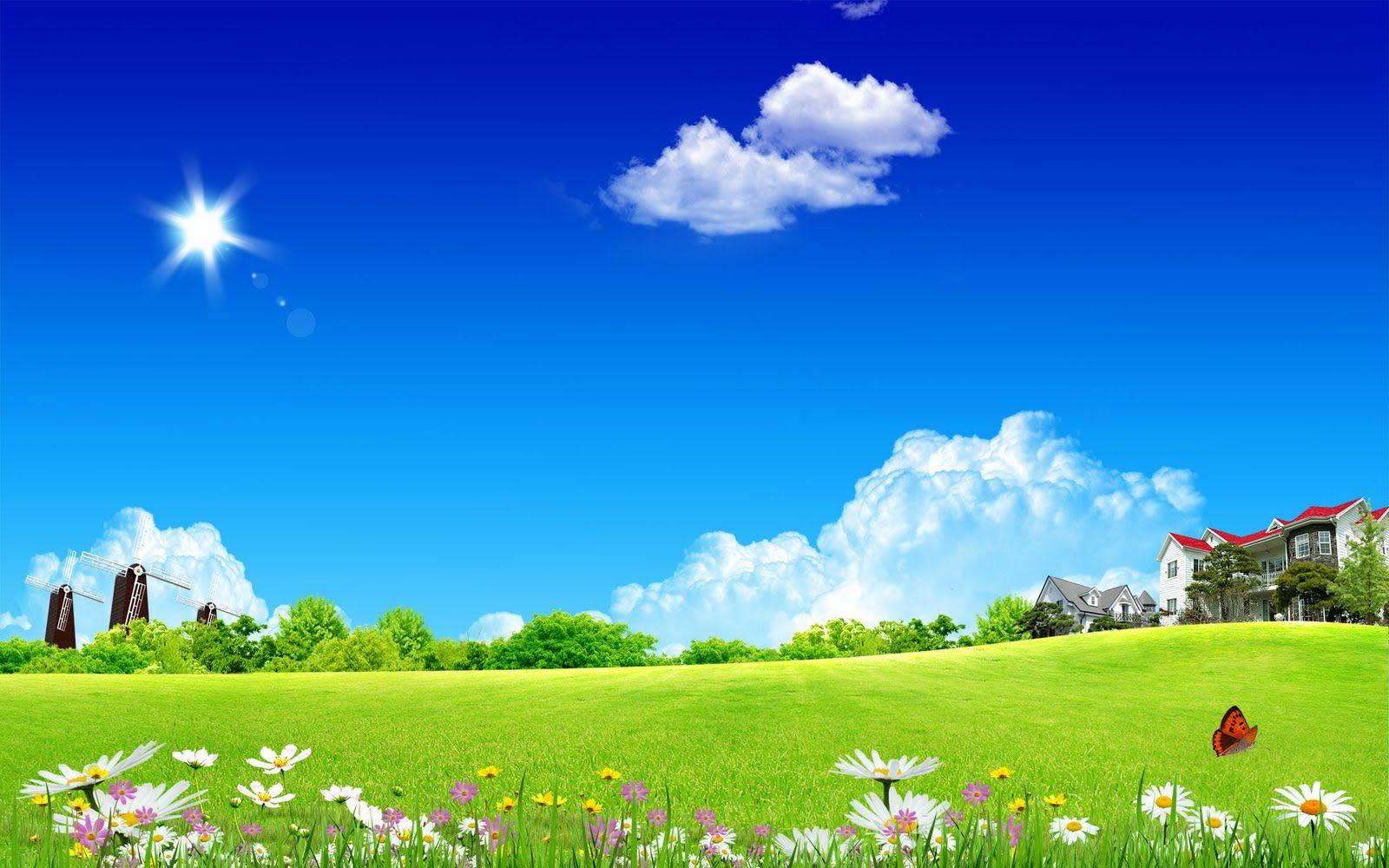 Background HD iPhone Cute Desktop Beautiful Green Nature On Sky