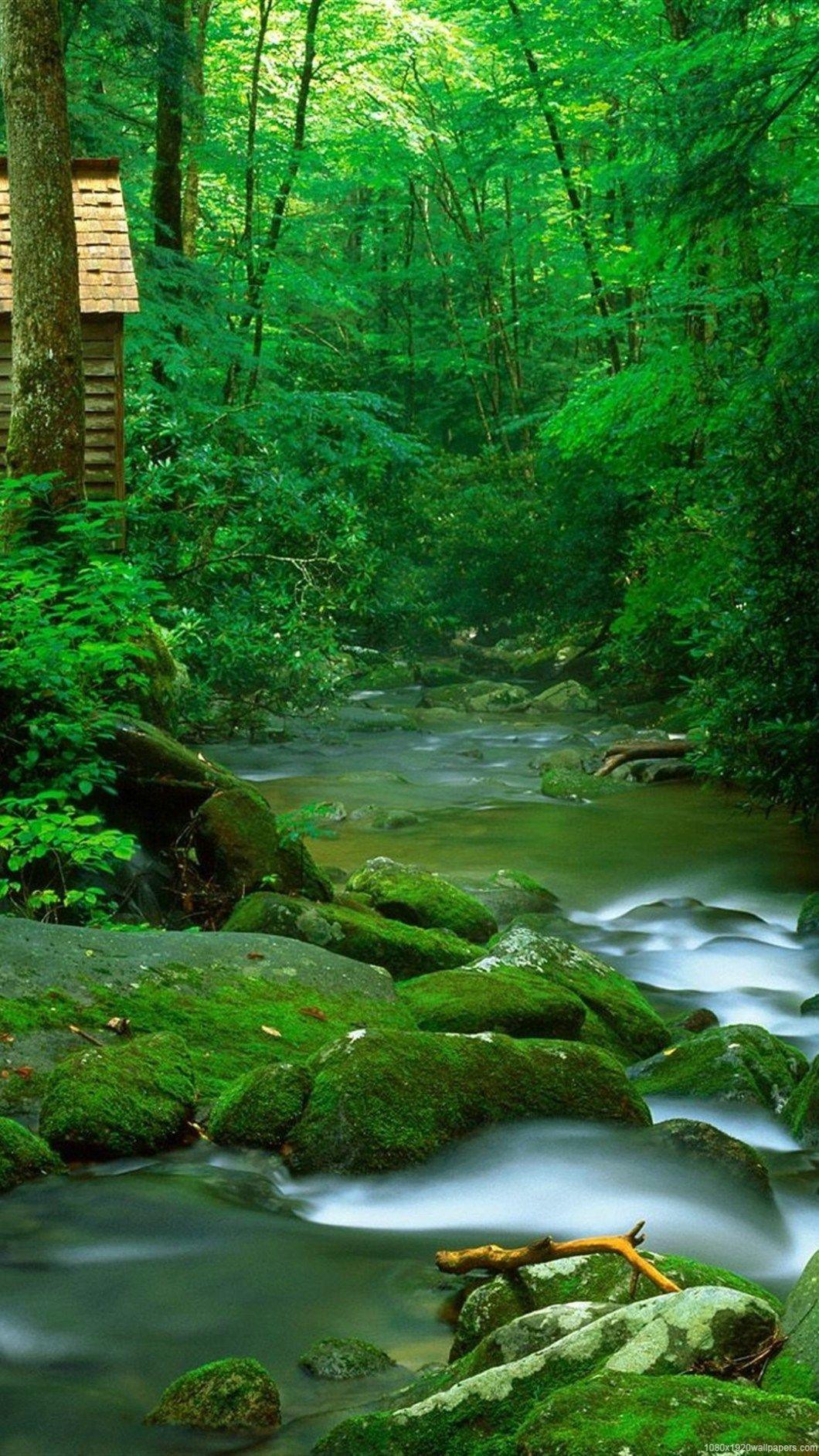 green nature wallpaper hd 1080p download