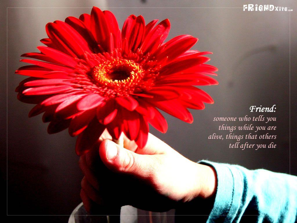 Friendship Day Flowers Image. All about friendship!!!
