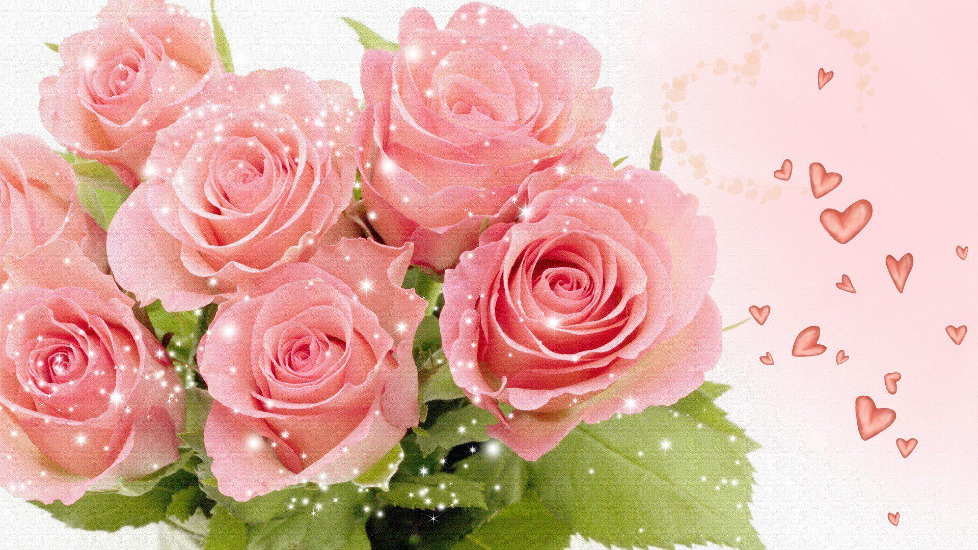 heart wallpaper pink rose