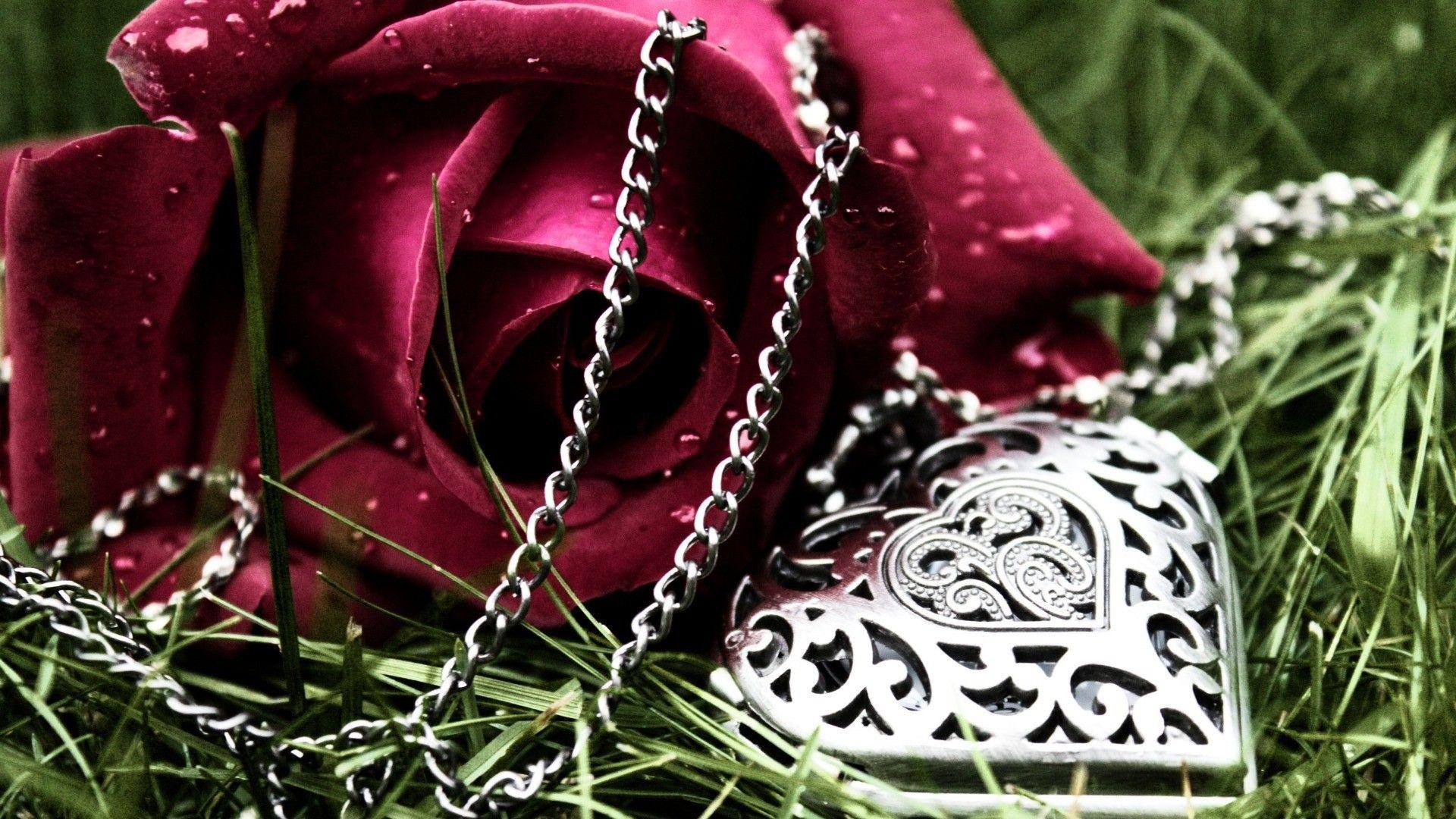Love Rose and heart shaped pendant. Rose Wallpaper
