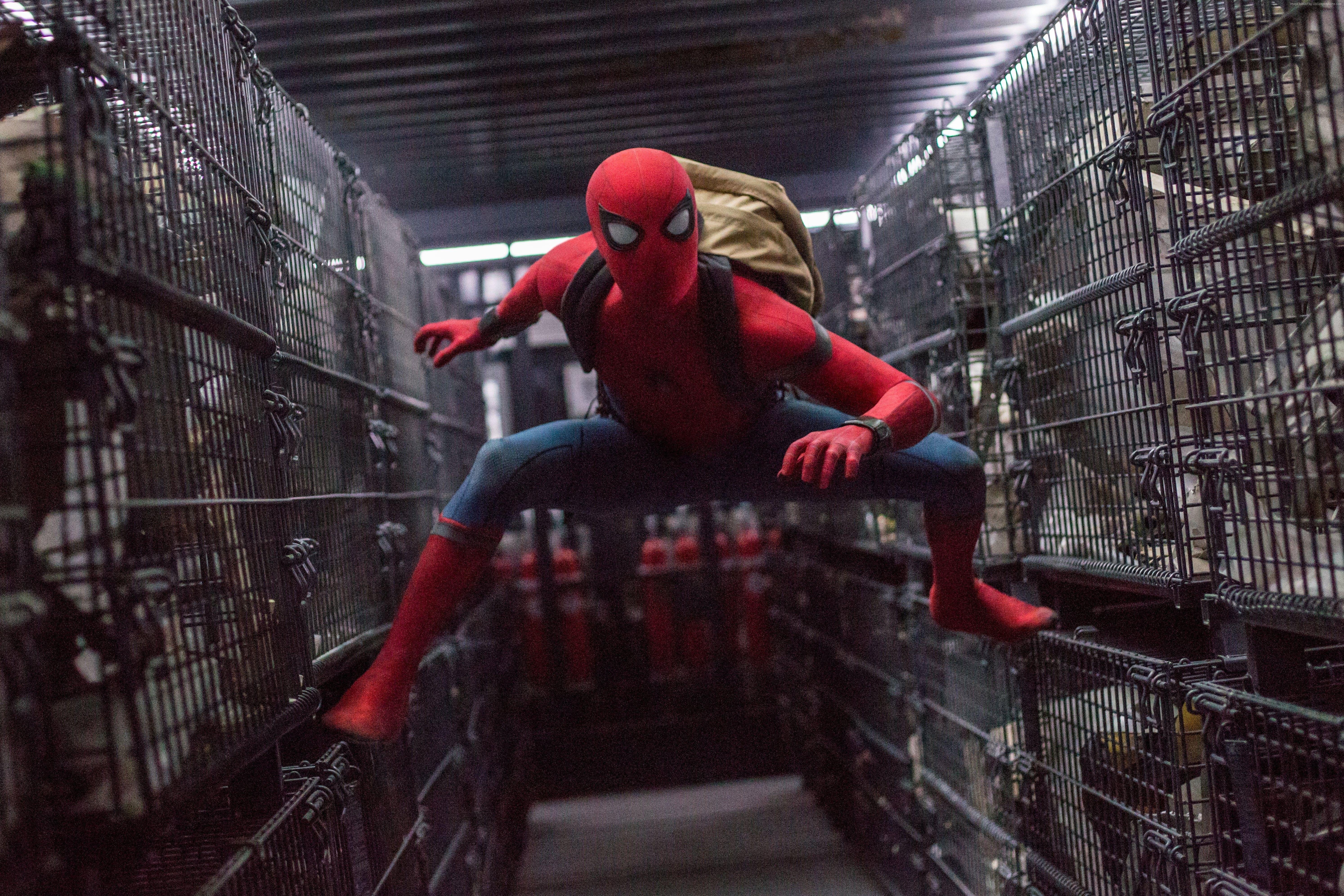 Wallpaper Spider Man: Homecoming, 4k, 8k, Tom Holland, Marvel