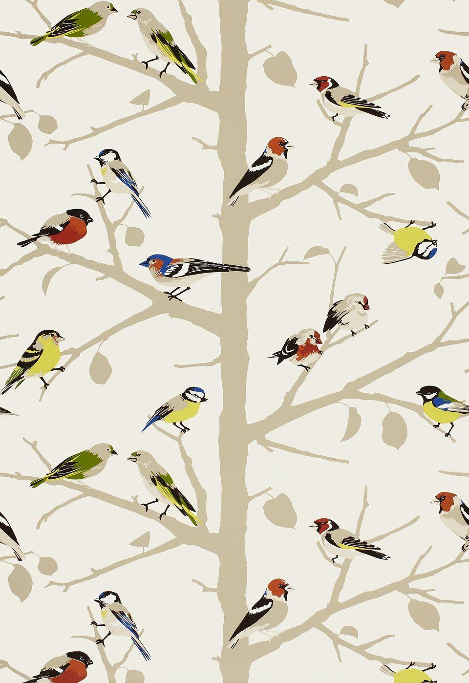 Sarah's House Powder Room {Bird Wallpaper Source}. Bird wallpaper, Schumacher wallpaper, Eclectic wallpaper