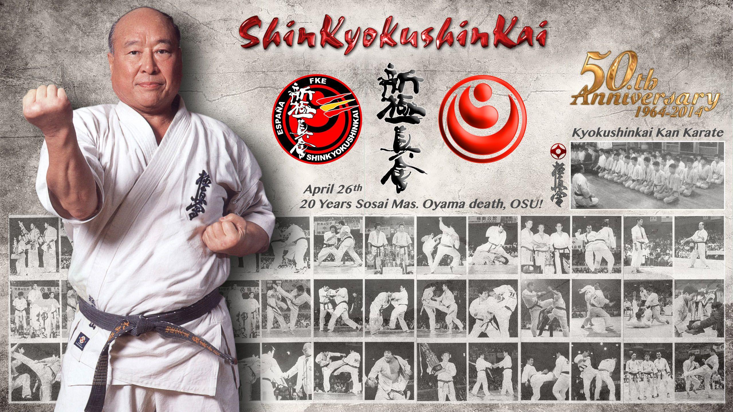 Kyokushin Karate Wallpaper - carrotapp