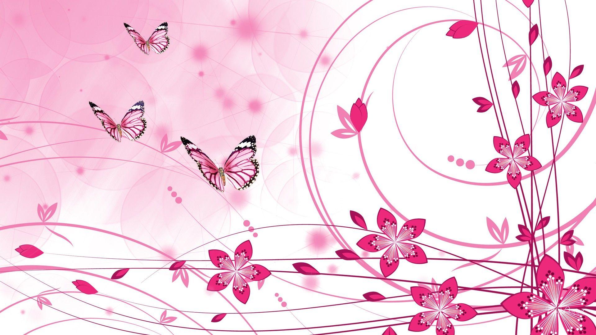 Pink Color HD Wallpaper, High Definition, High Quality