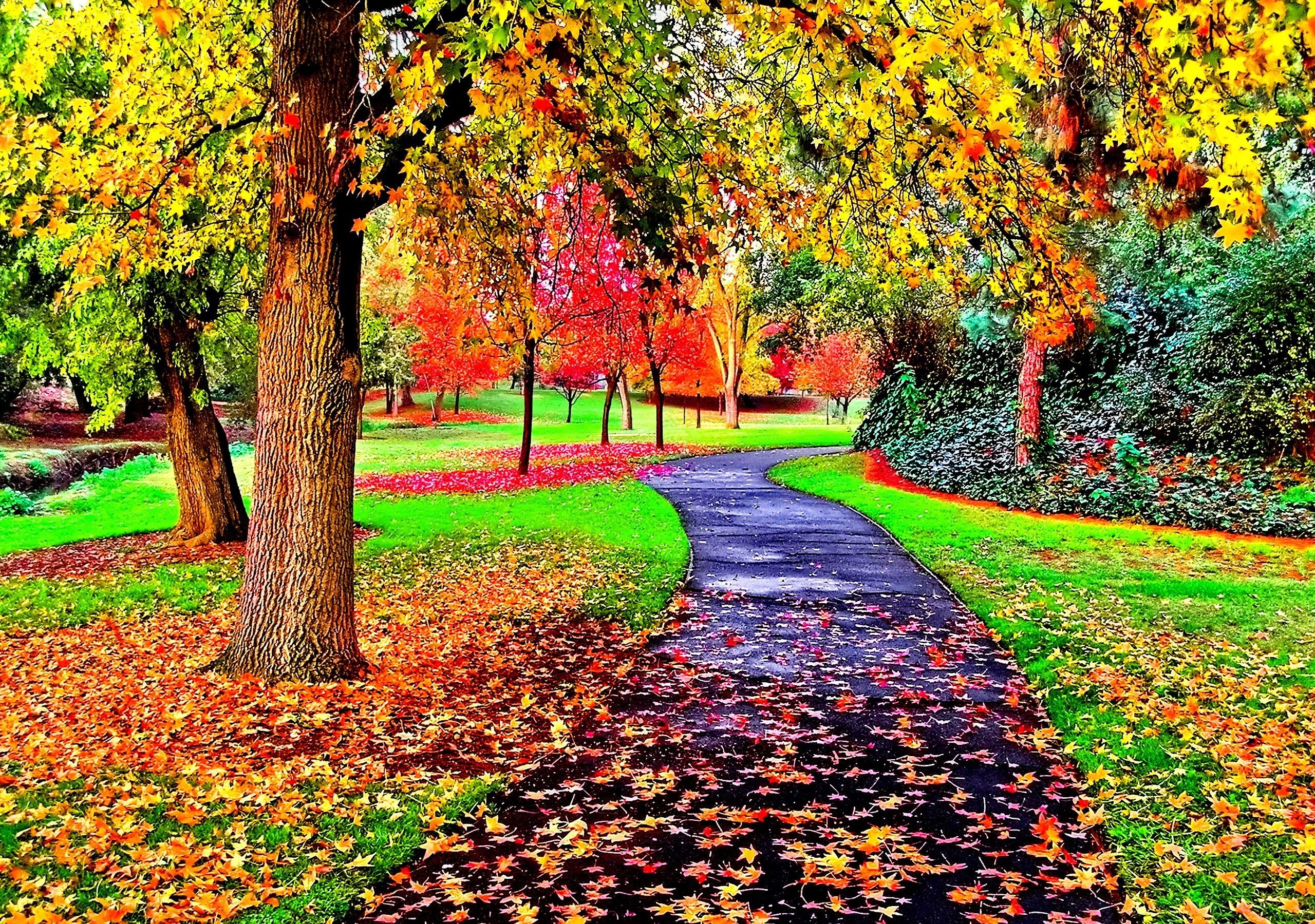 Real Forces Lovely Stunning Paradise Path Falls Best Leaves Park