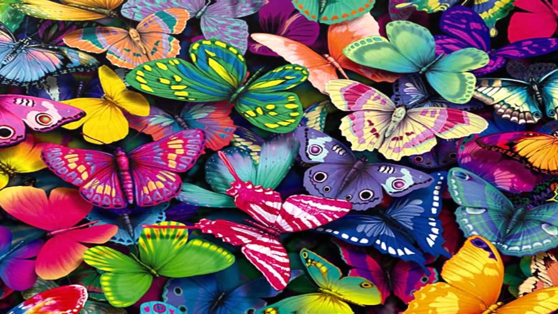 Butterfly Wallpaper (Fantastic) HD