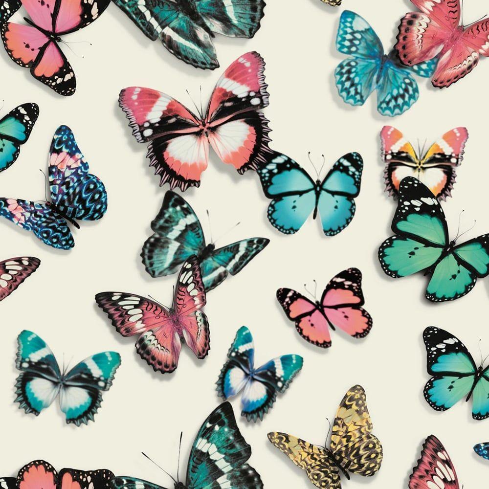 Muriva Butterfly Wallpaper. Muriva Bird Wallpaper. I Want Wallpaper