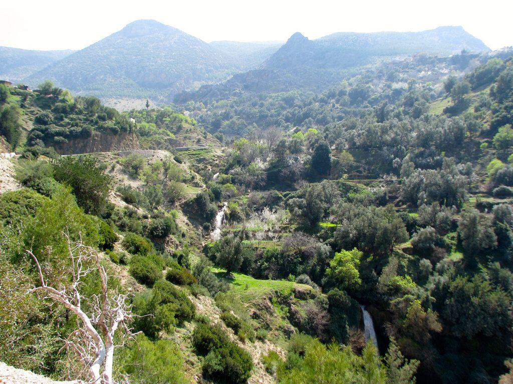Andohahela National Park Wallpapers Wallpaper Cave