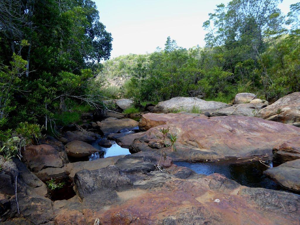 Andohahela National Park Wallpapers - Wallpaper Cave