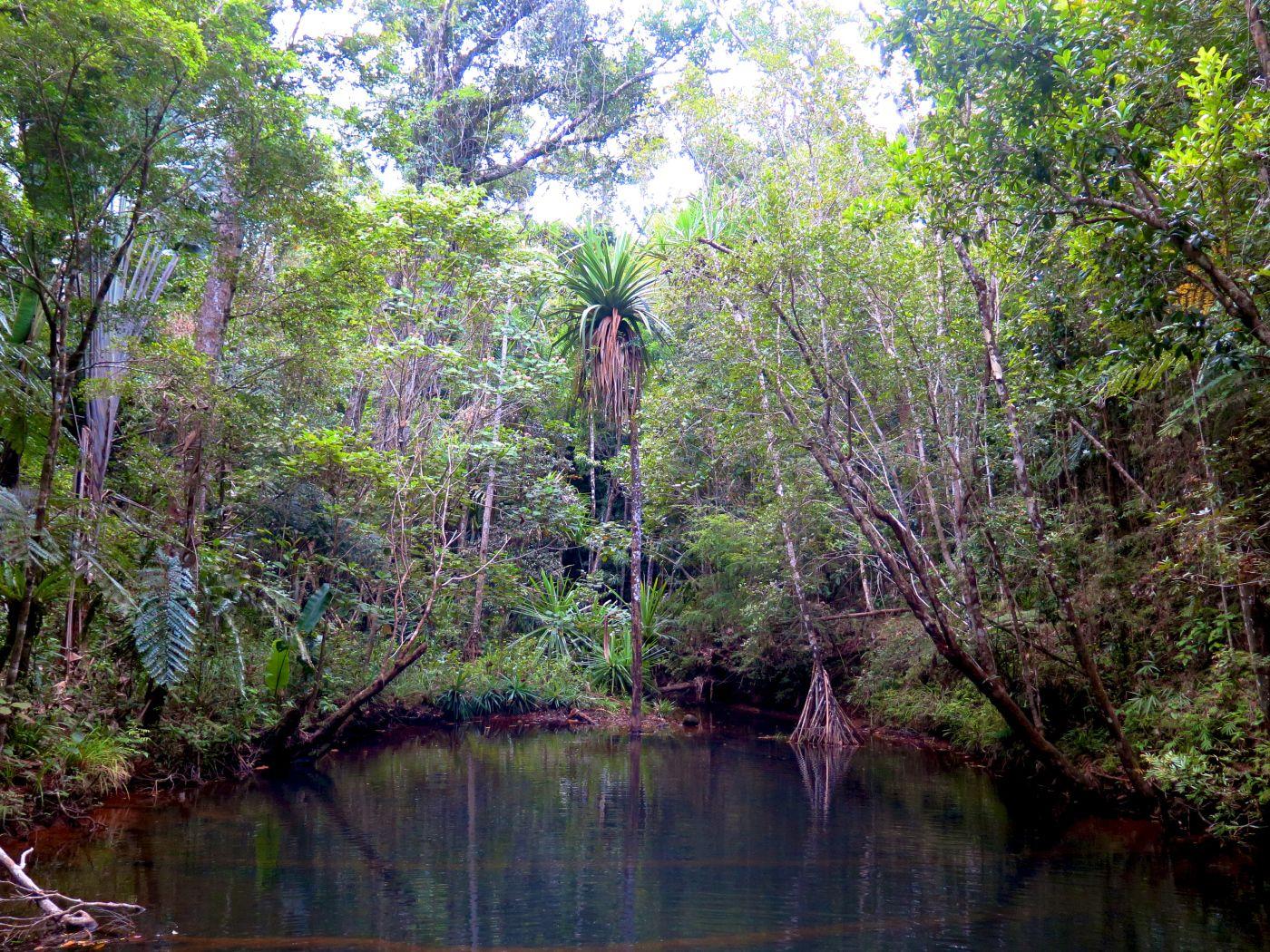 Andohahela National Park Wallpapers Wallpaper Cave