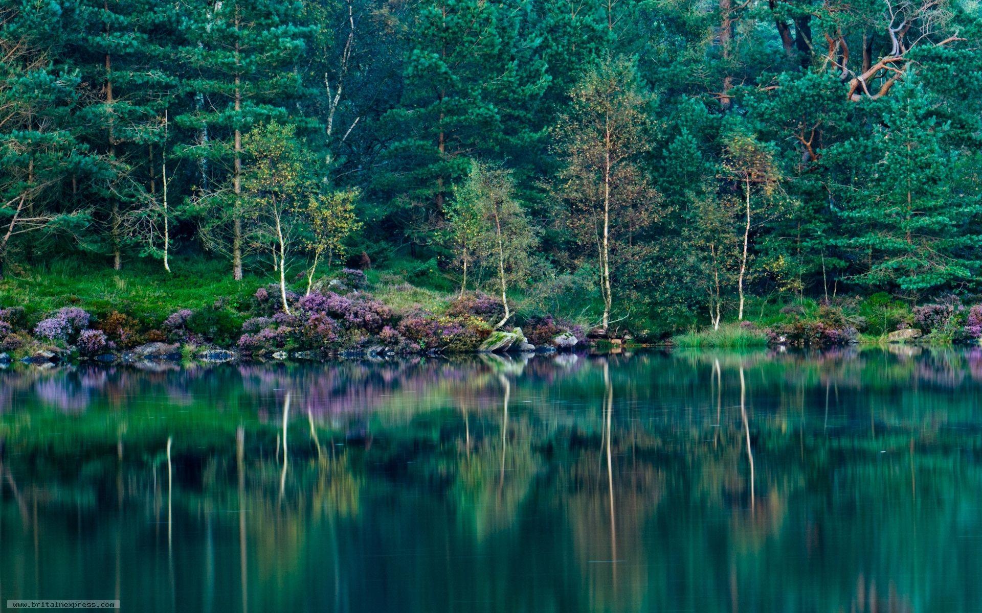 Photo of Tarn Hows, Lake District National Park