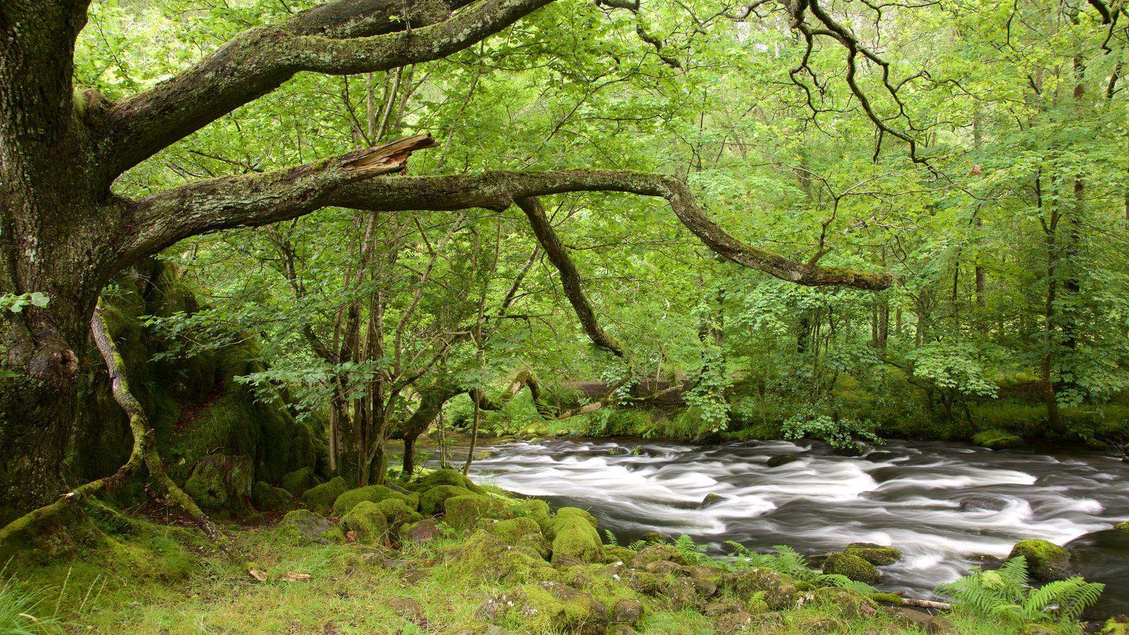 Peaceful Picture: View Image of Lake District National Park