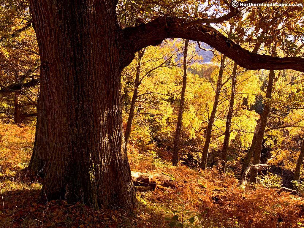 sunset of lake district national park in north west england