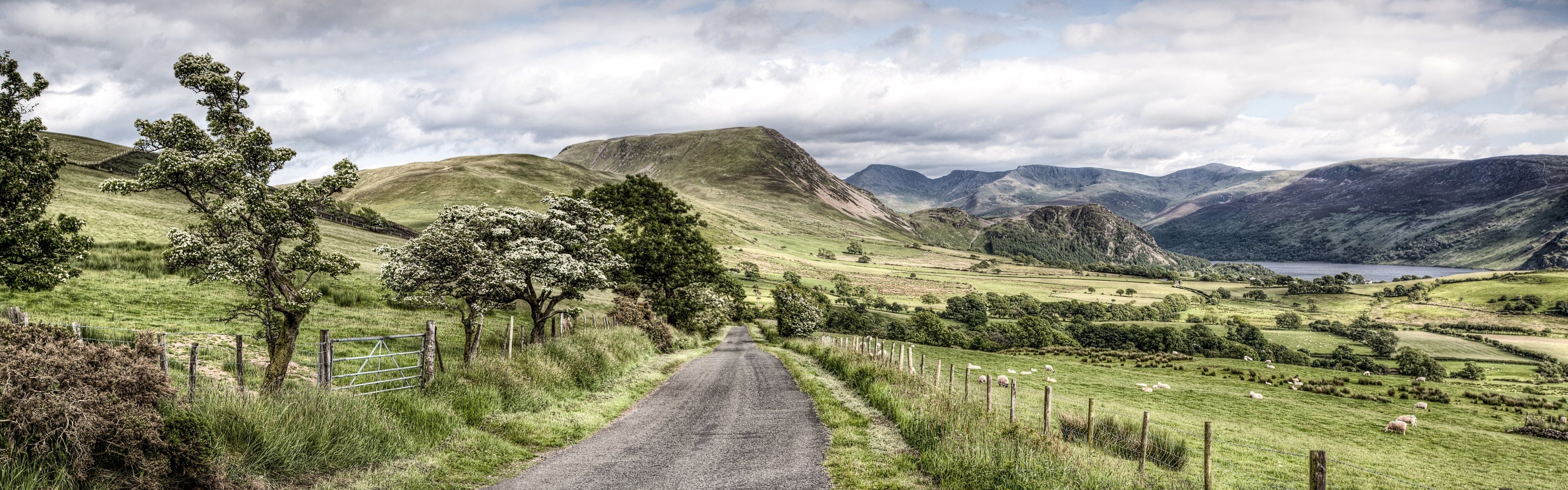 Road, trees, mountains, Lake District National Park, Cumbria, UK