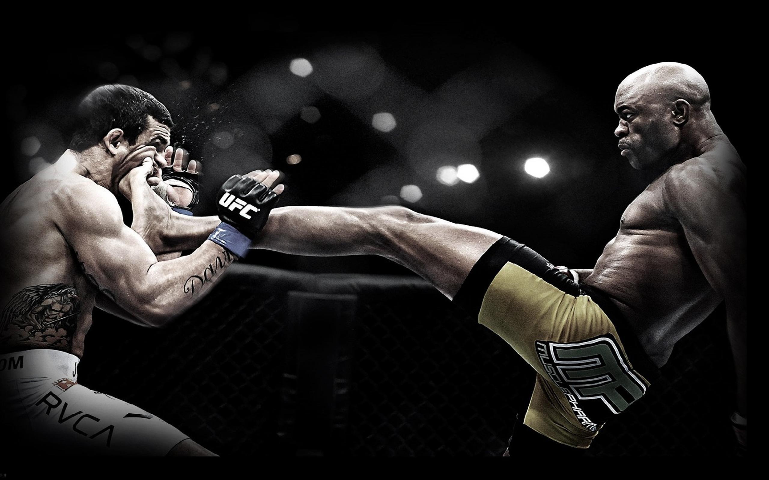 UFC HD Wallpaper and Background Image