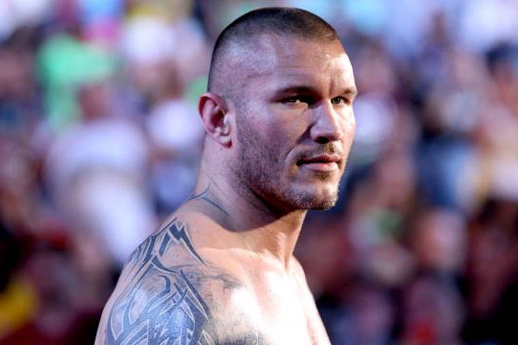 Randy Orton Full HD Wallpaper Image Pics Photo Startwallpaper