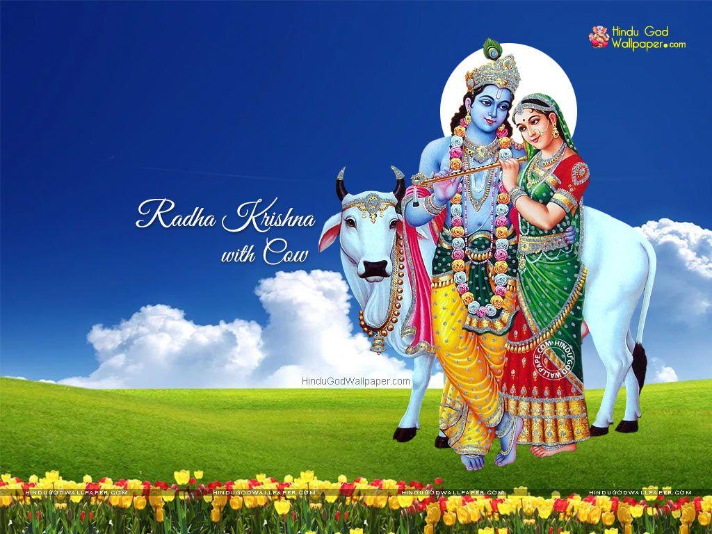 Radha Krishna with Cow Wallpaper & Image Free Download