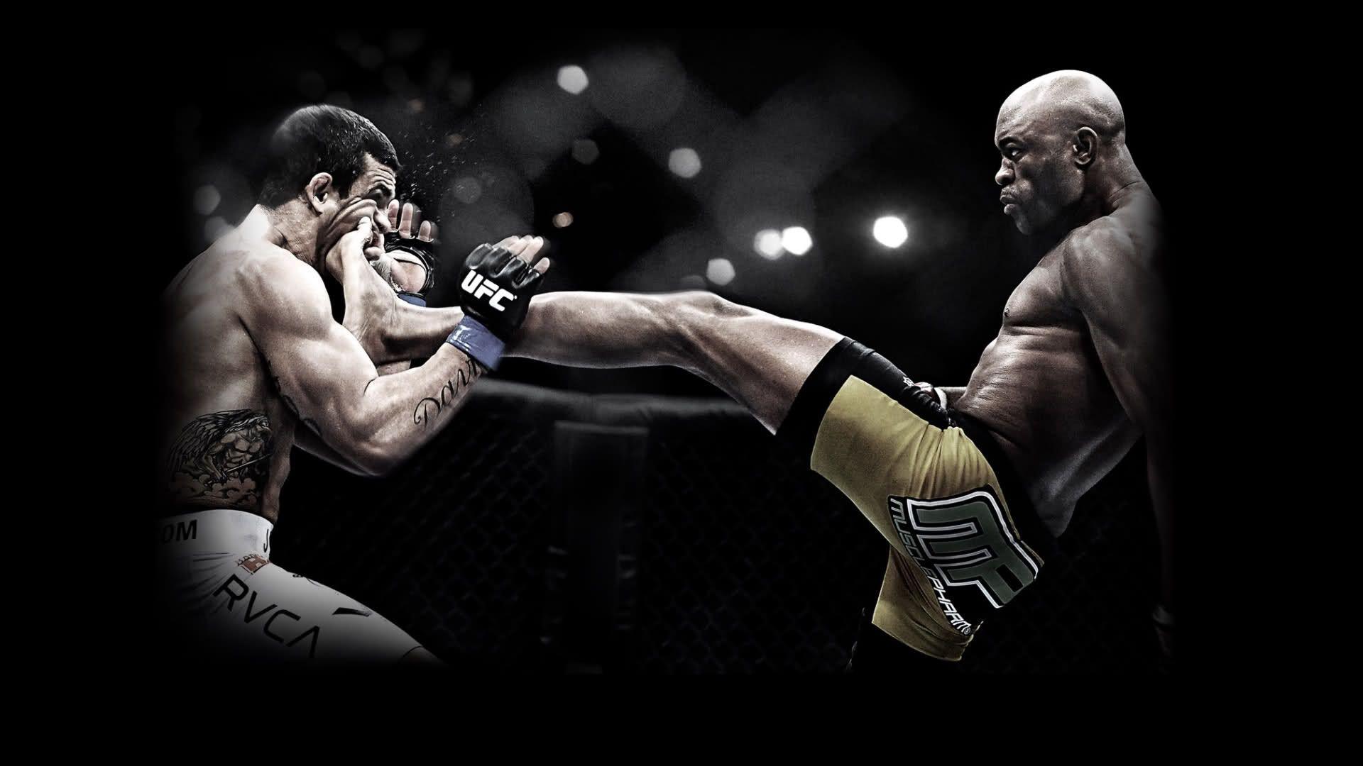 Download Wallpaper, Download 2560x1440 fight brazil ufc ultimate