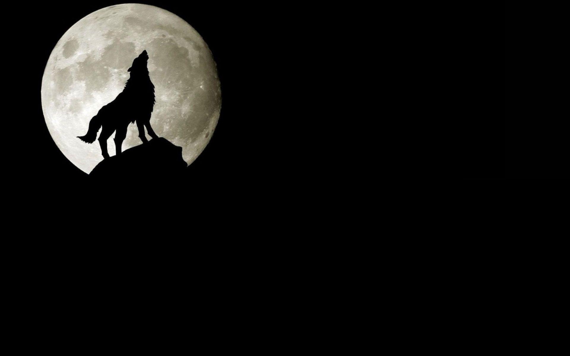 Wolf moon rock silhouette howling