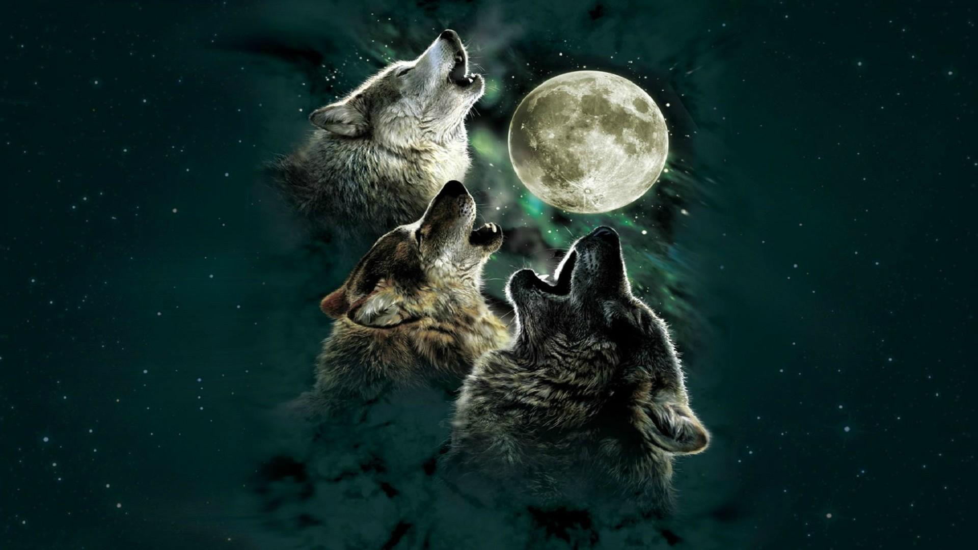 digital Art, Wolf, Moon Wallpaper HD / Desktop and Mobile Background