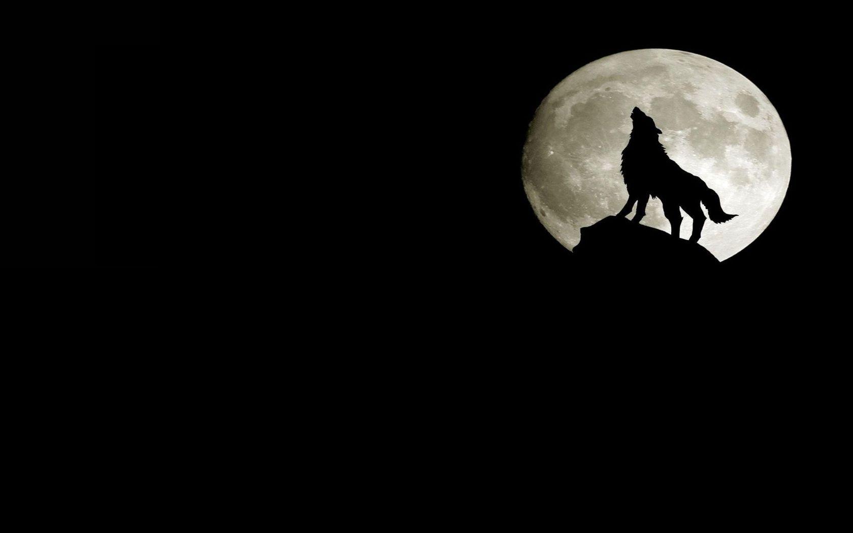 wolves, Moon wallpaper