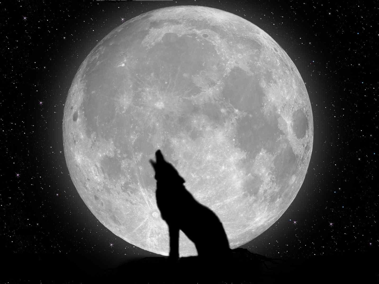 Desktop Wolf Moon Wallpaper