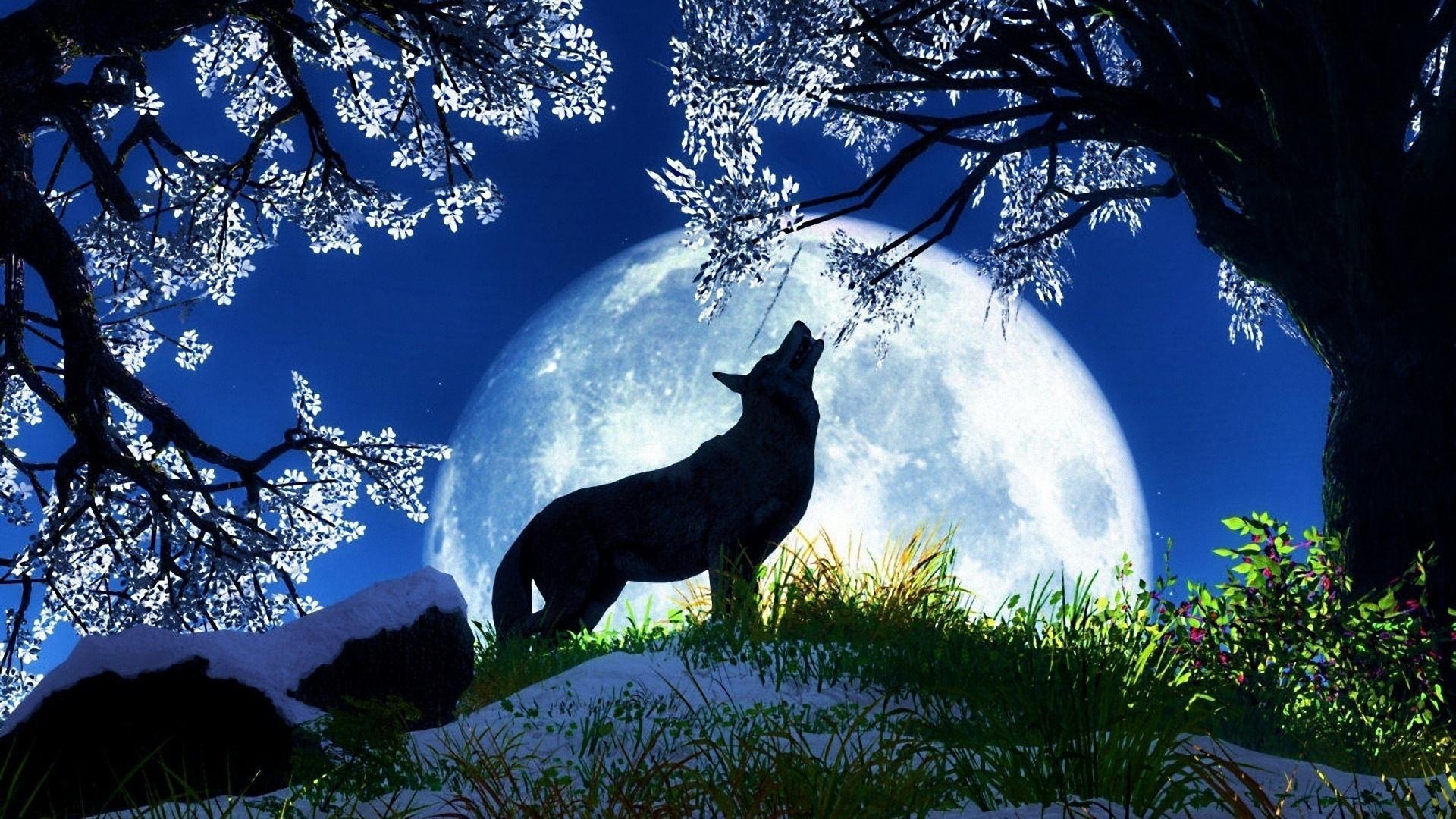 Wolf Moon HD desktop wallpaper, Widescreen, High Definition