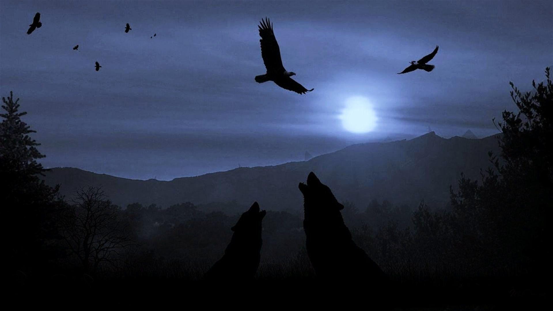 Wolf Moon Wallpaper Gallery (67 Plus) PIC WPW5011384