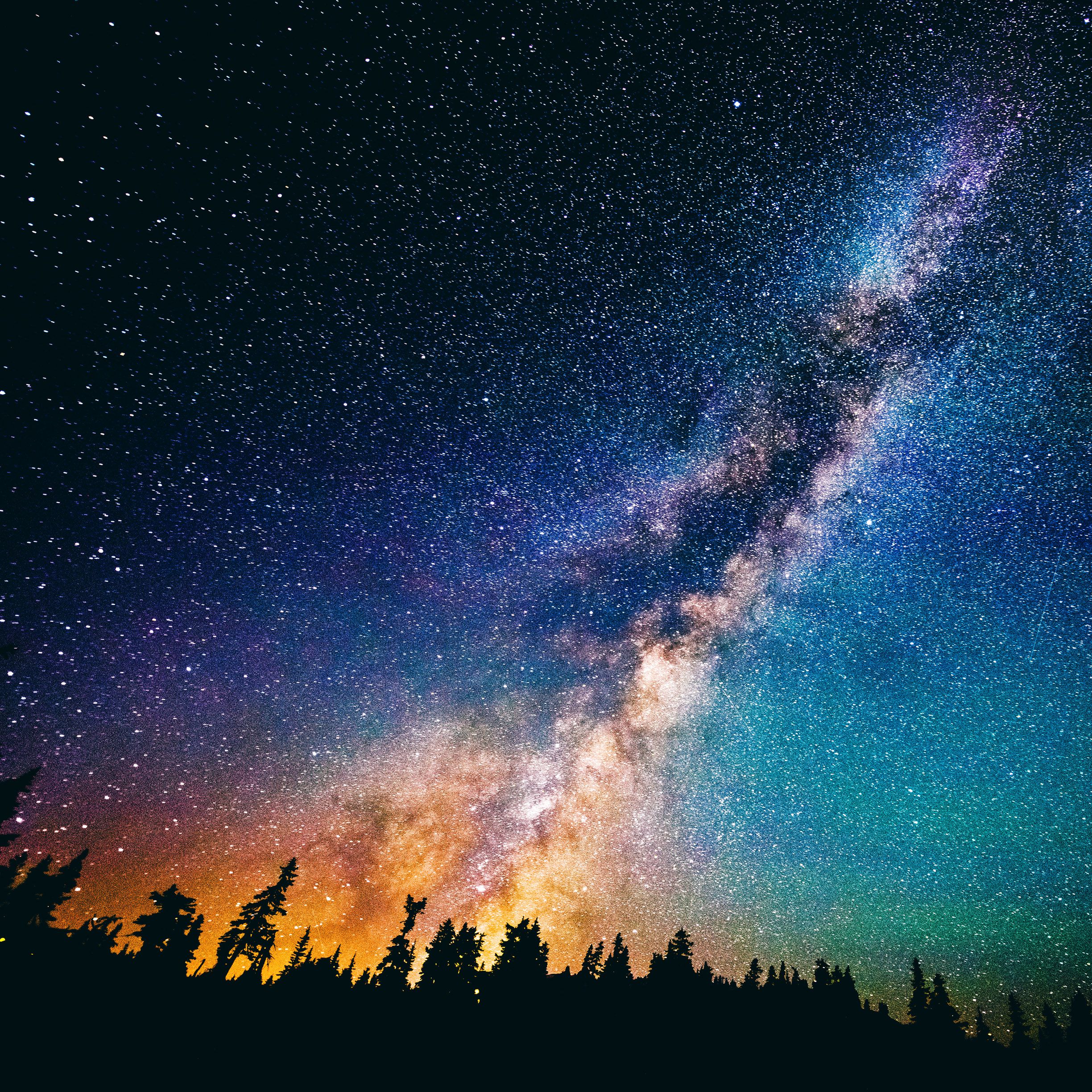 Wallpaper of the week: starred night sky