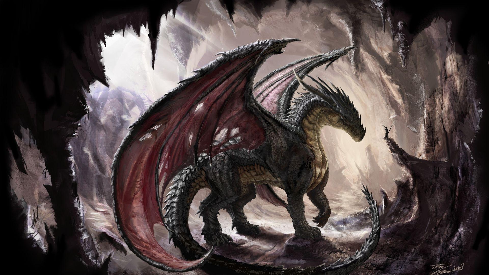 Best Dragon 1080p HD Wallpaper Image Desktop Background