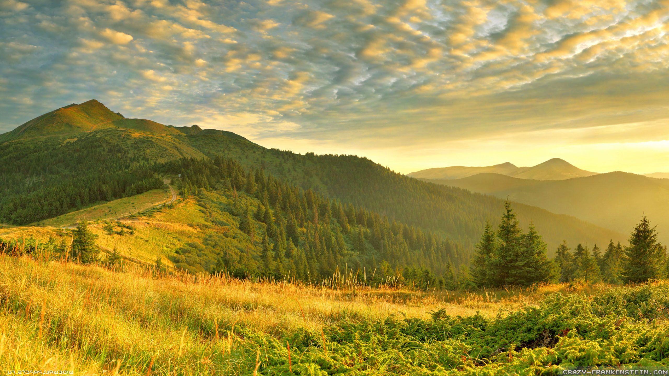 Summer Nature wallpaper 2