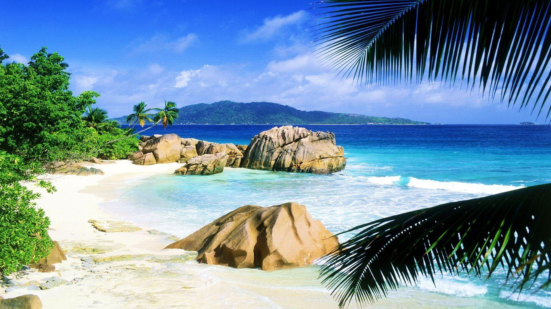 Beach Sand Sea Digue Seychelles Rocks White Landscape Palm Wallpaper