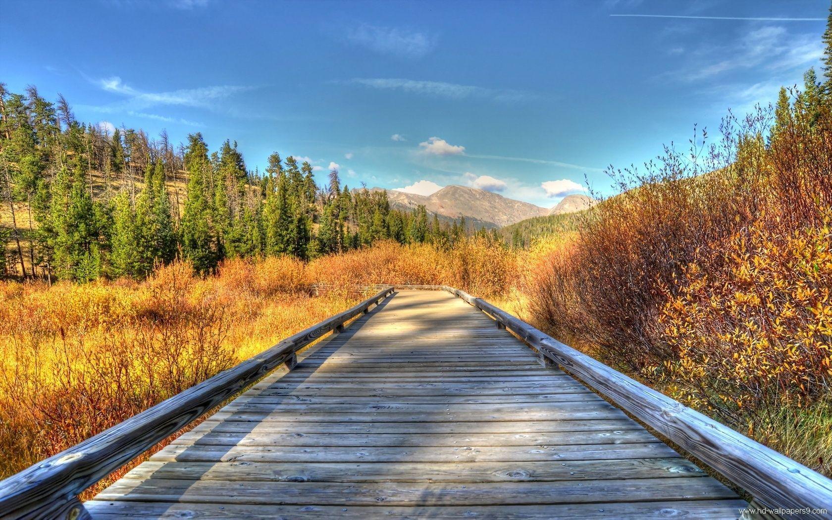 Nature Backgrounds HD Images Wallpaper Cave