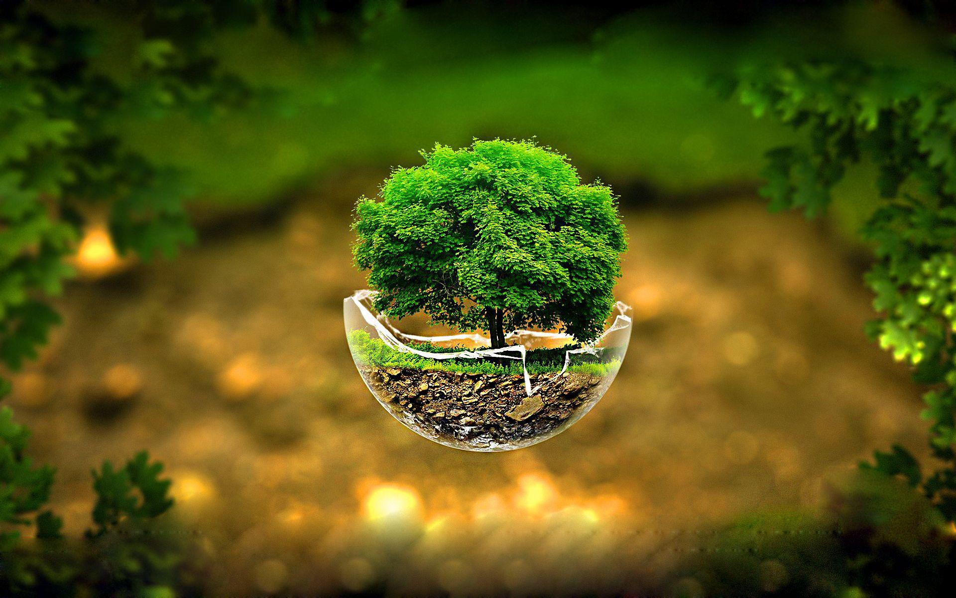 3D Nature Image HD with Flying Tree on Broken Glass