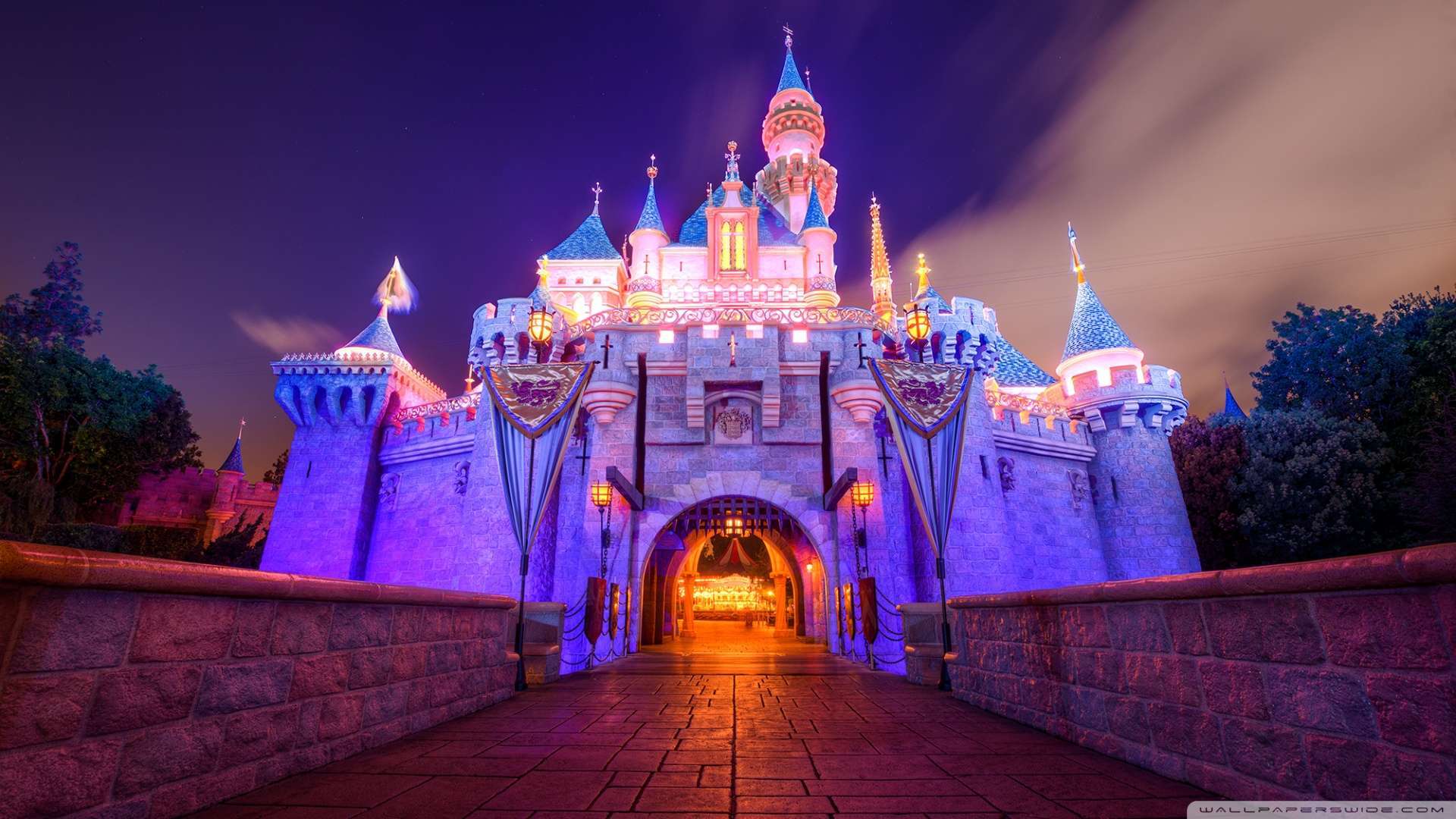 Download Disney Castle Wallpaper HD Background Disneyland Afari Of