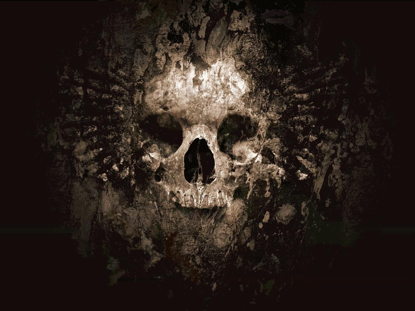 cool skull picture. Skulls skull wallpaper. SKULLS