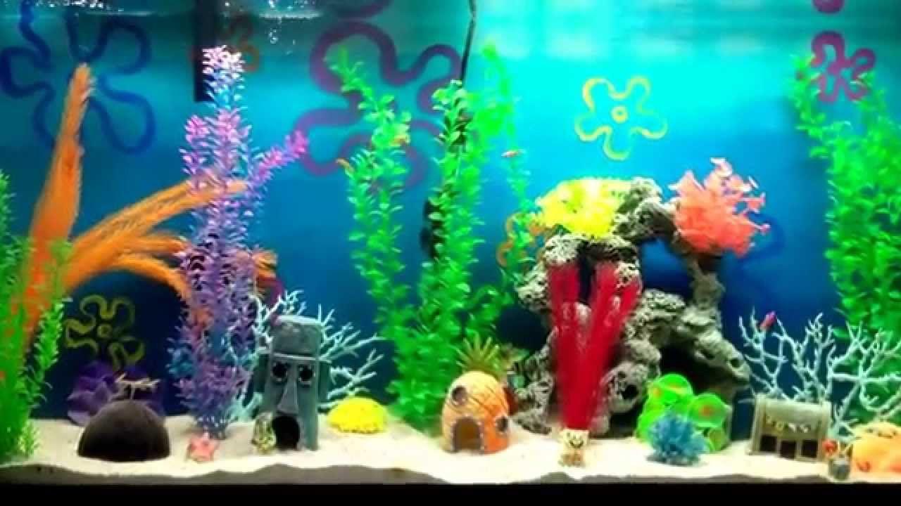 the best spongebob aquarium!