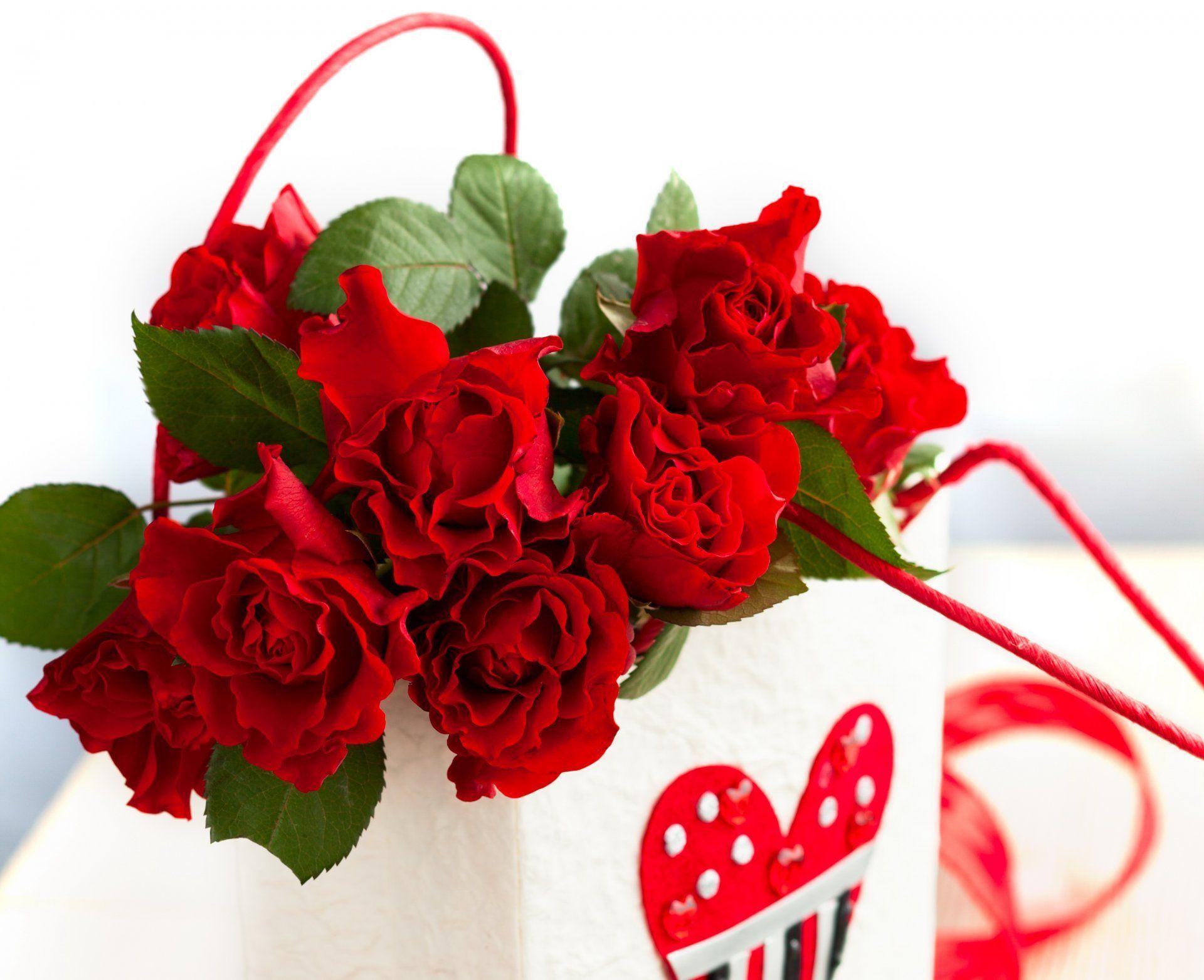 valentine's day romantic heart love rose roses flower HD wallpaper
